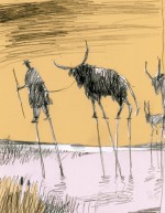 244. quelques degrés de plus...